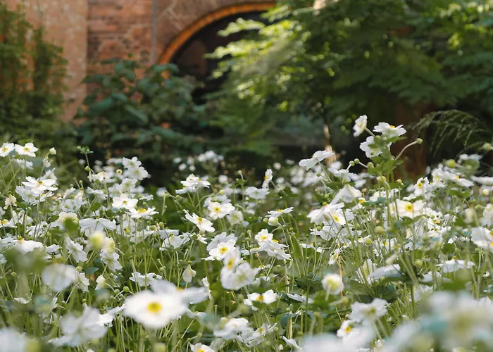 Wilmina & Lofts Aparthotel Berlin